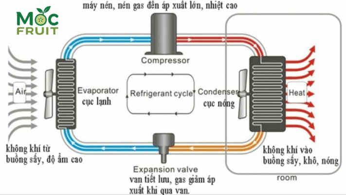 Quy Trình Sấy Lạnh