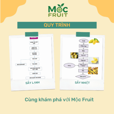 Quy Trình Sấy Lạnh Và Sấy Nhiệt