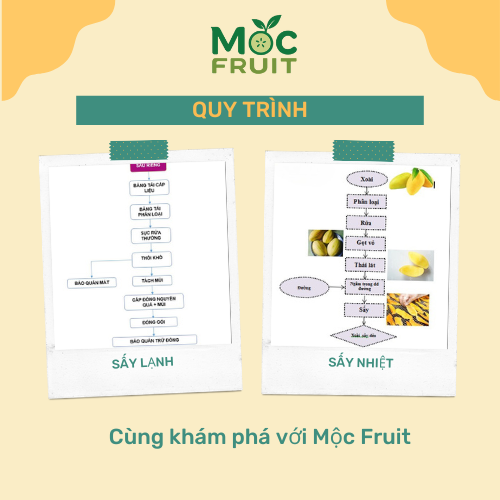 Quy Trình Sấy Lạnh Và Sấy Nhiệt